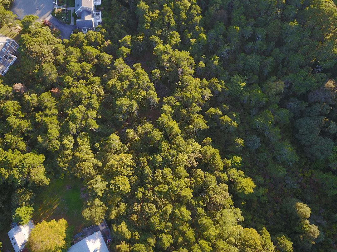 0 Evergreen Lane Chatham MA 02633