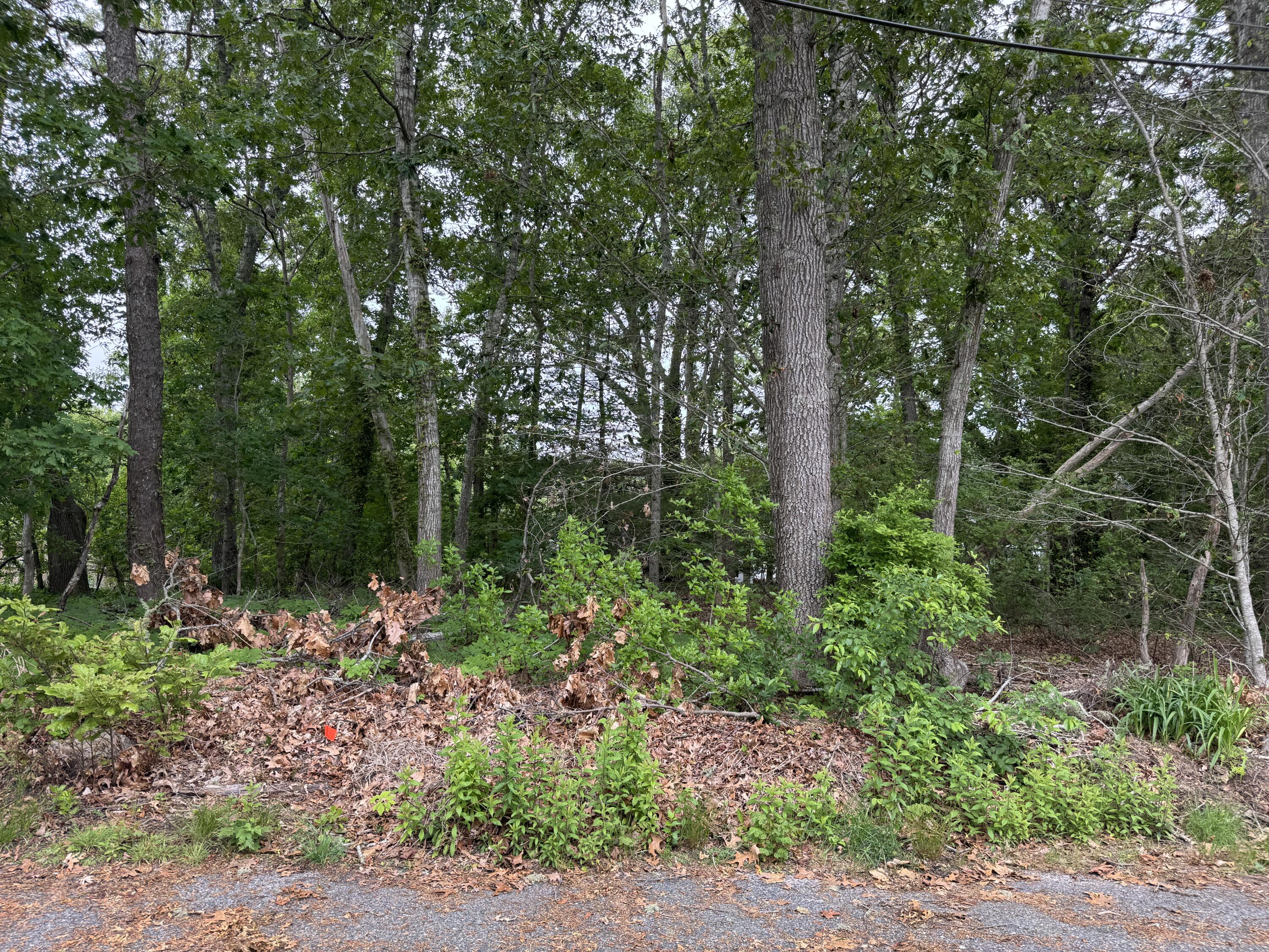 11 Lane Road Dennis Port MA 02639