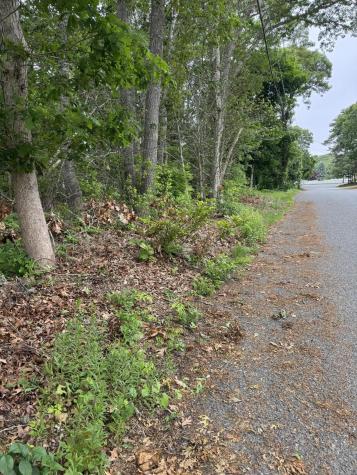 11 Lane Road Dennis MA 02639