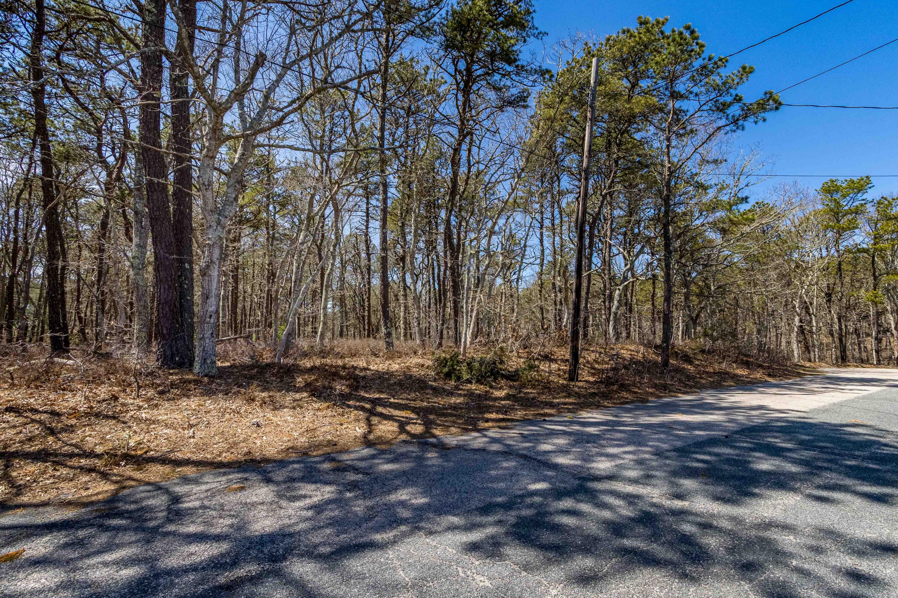 53 Captain Walsh Drive Dennis MA 02638