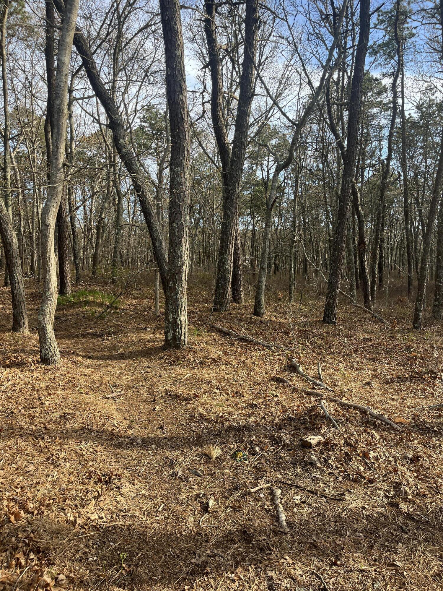 37 Cyprus Road South Dennis MA 02660