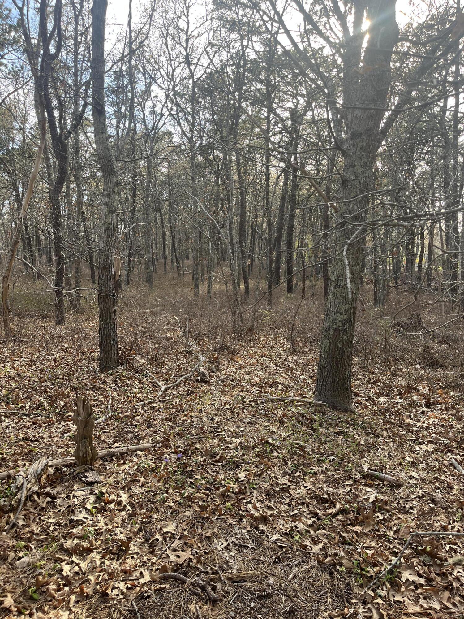 37 Cyprus Road South Dennis MA 02660