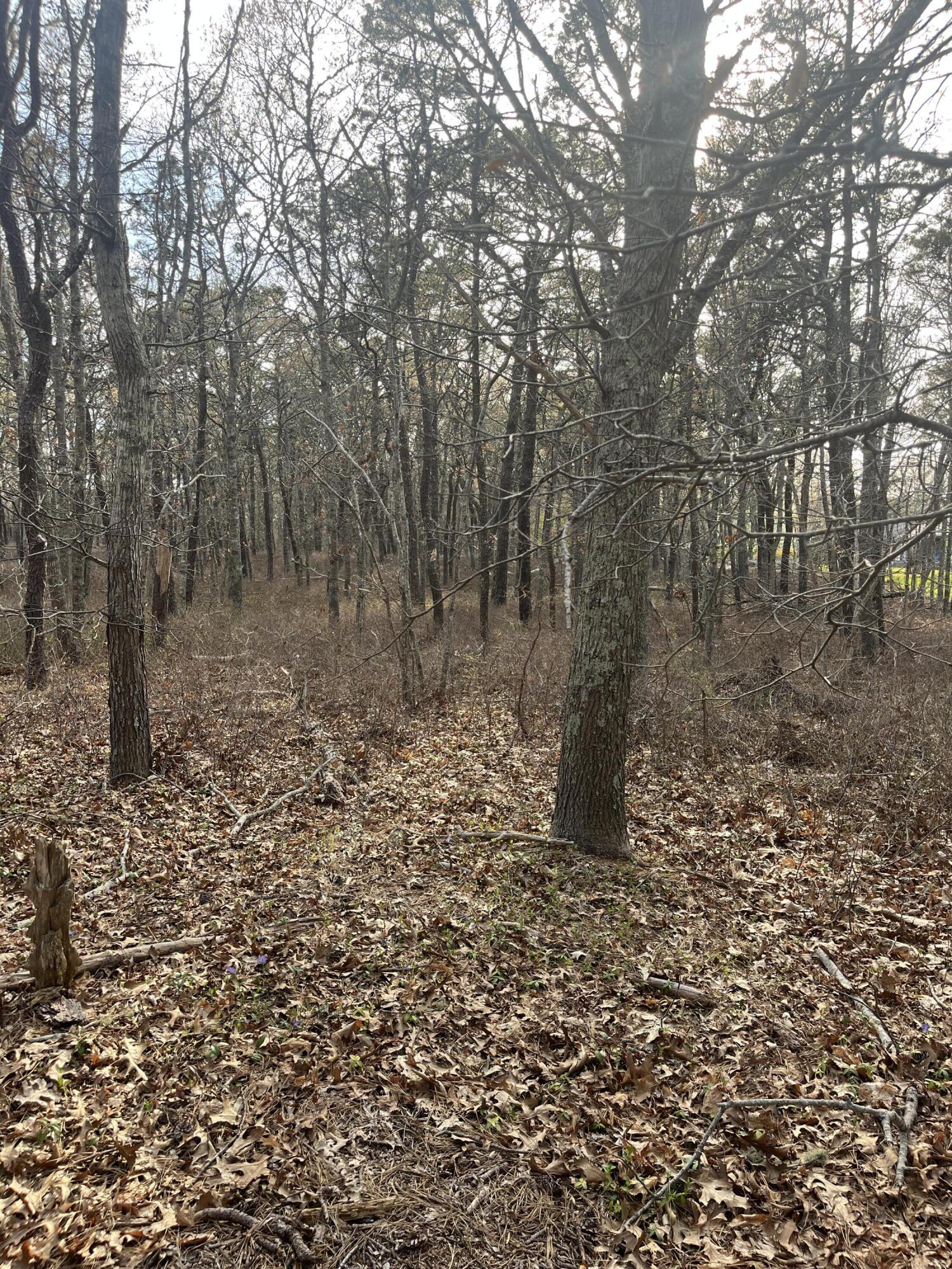 37 Cyprus Road South Dennis MA 02660