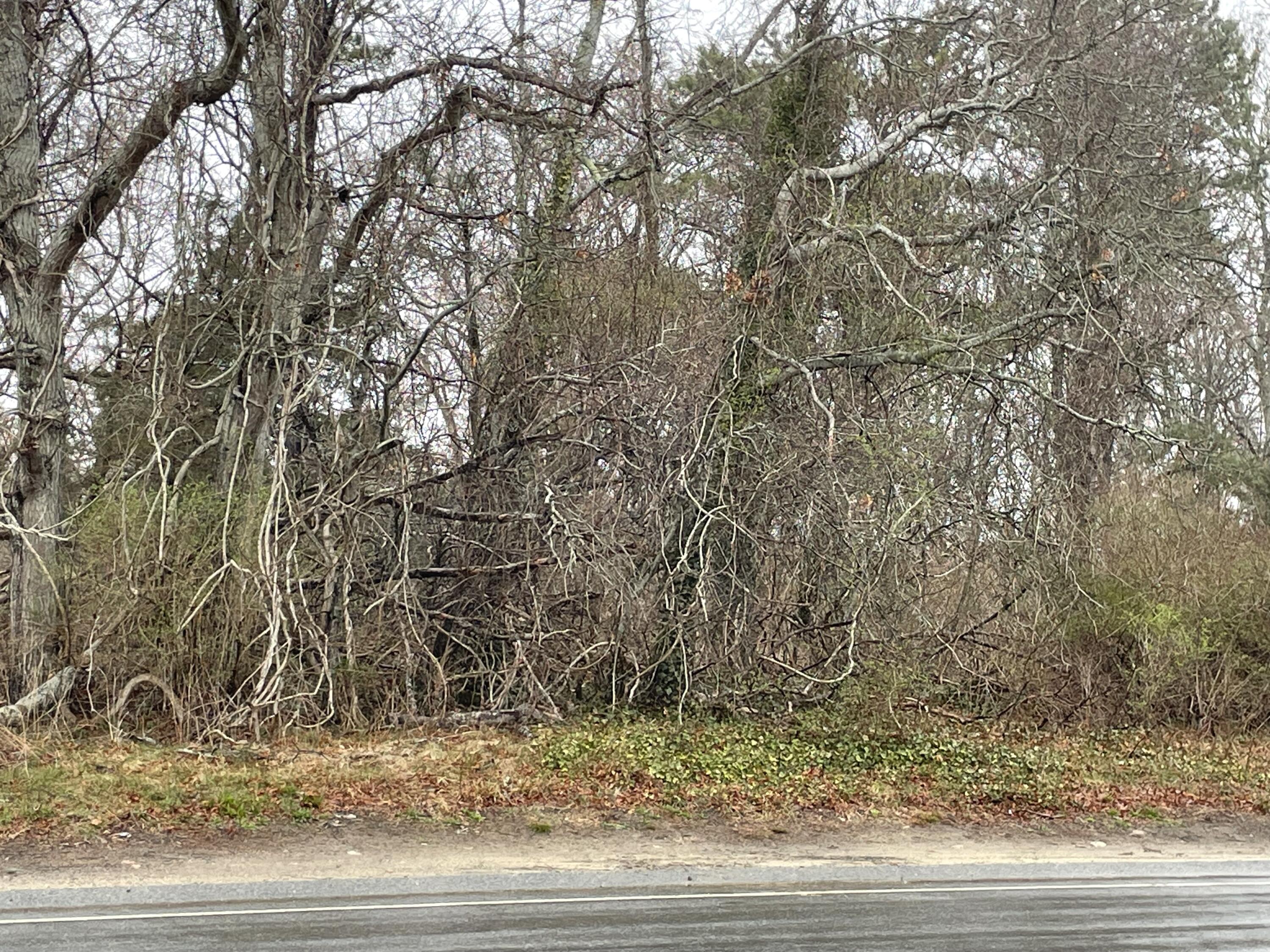 230 Attucks Lane Barnstable MA 02630