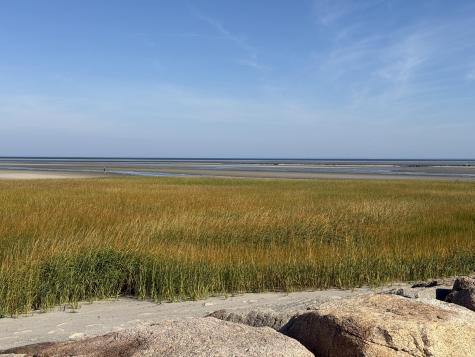 0 Old Long Pond Road Brewster MA 02631
