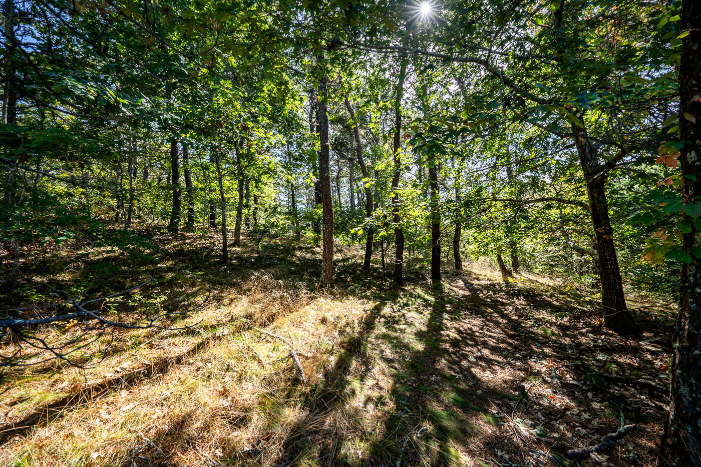 32 Depot Road Truro MA 02666