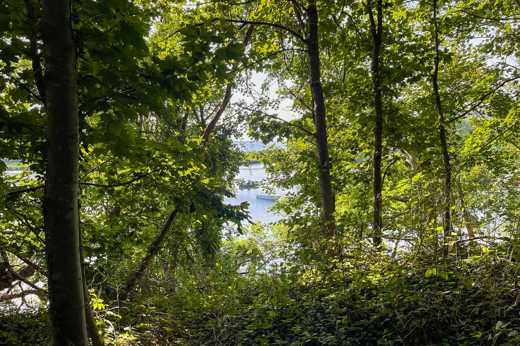 7 Lockwood Lane Orleans MA 02653