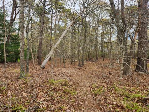 0 Commons Way Brewster MA 02631