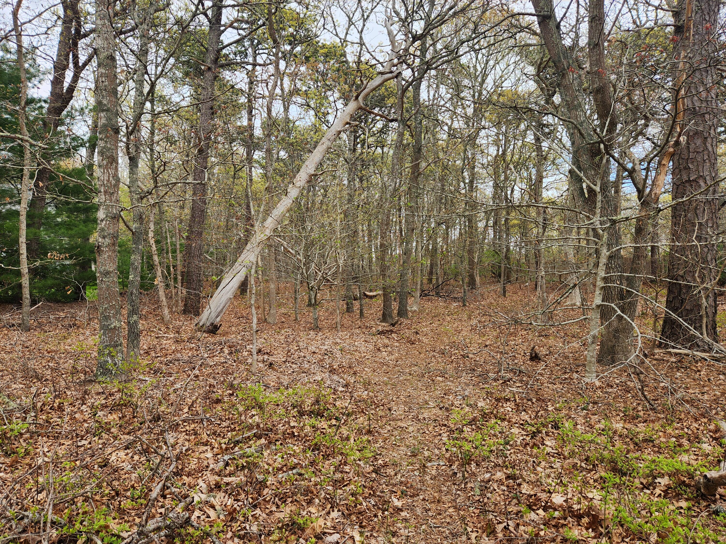 0 Commons Way Brewster MA 02631