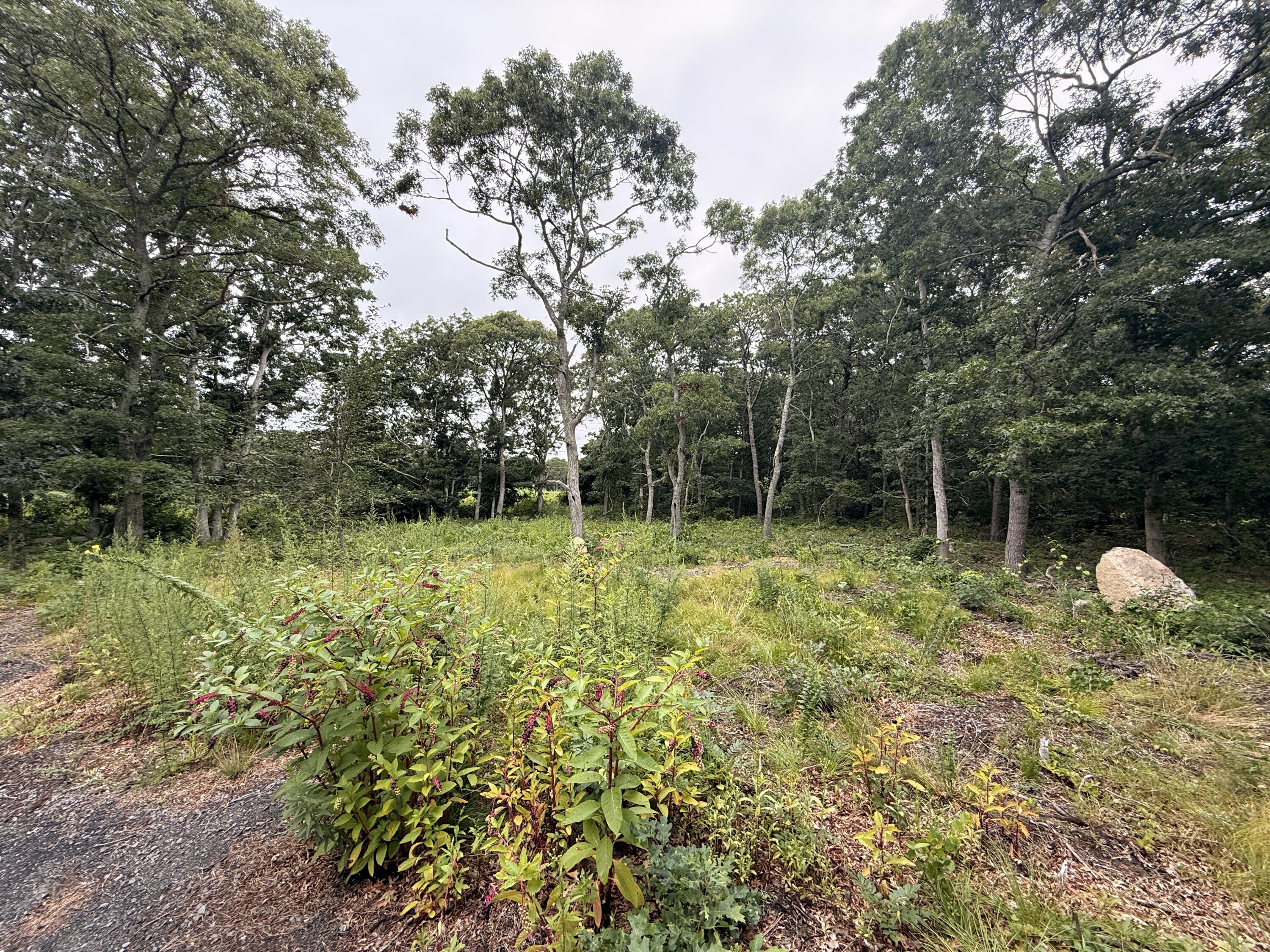 0 Old Chatham Road Brewster MA 02631
