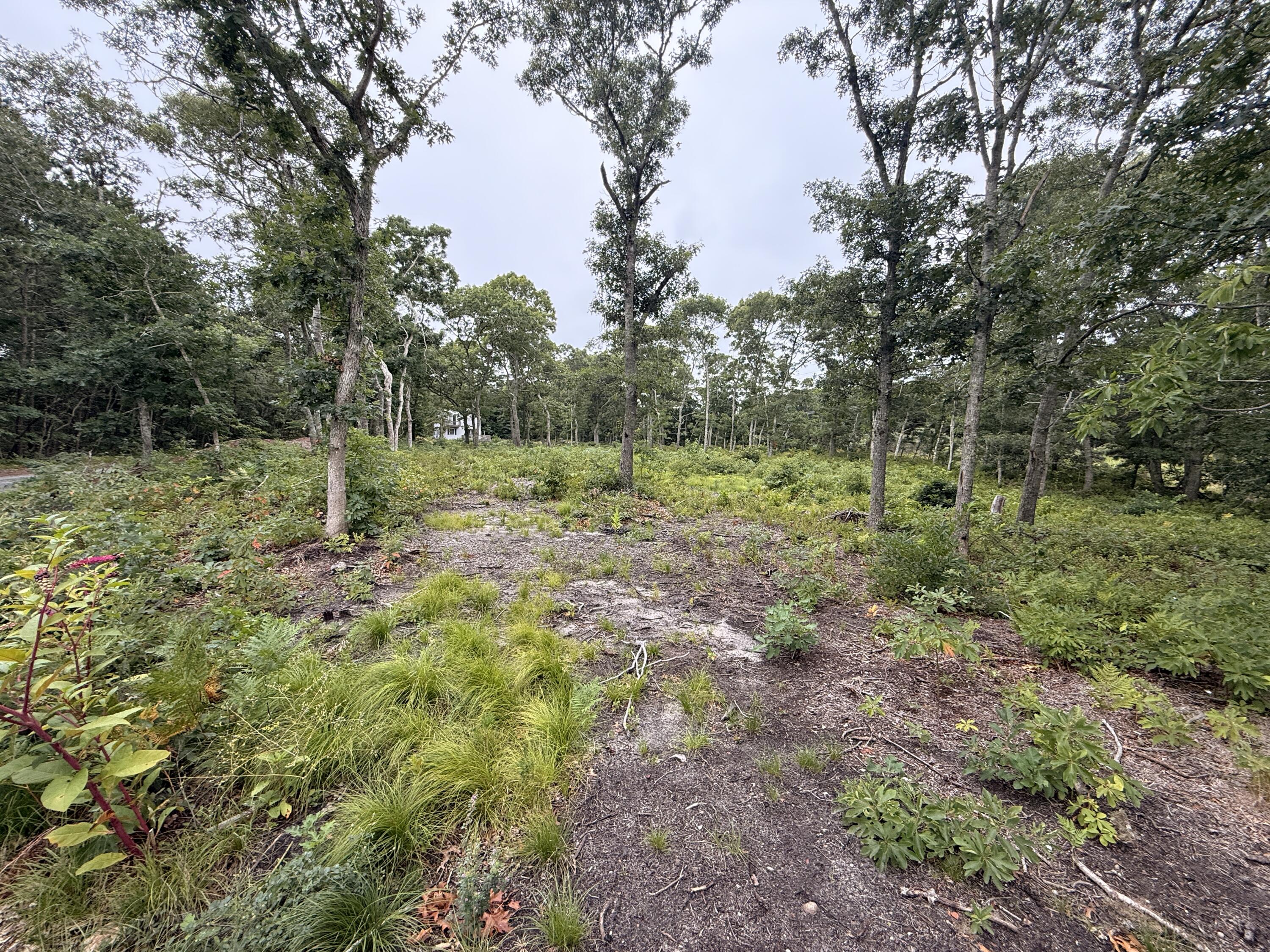 0 Old Chatham Road Brewster MA 02631