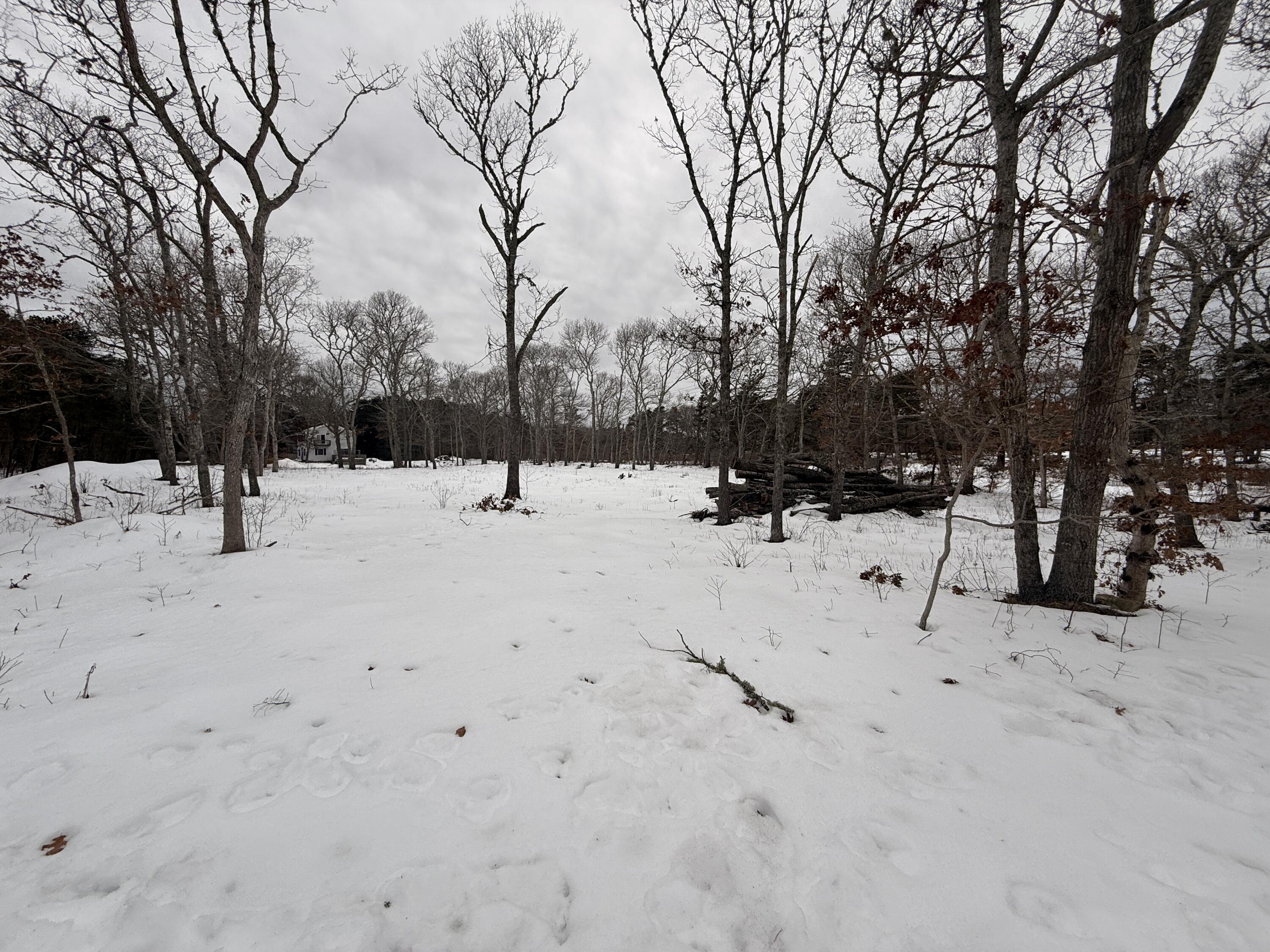 Old Chatham Road, Brewster MA photo 5