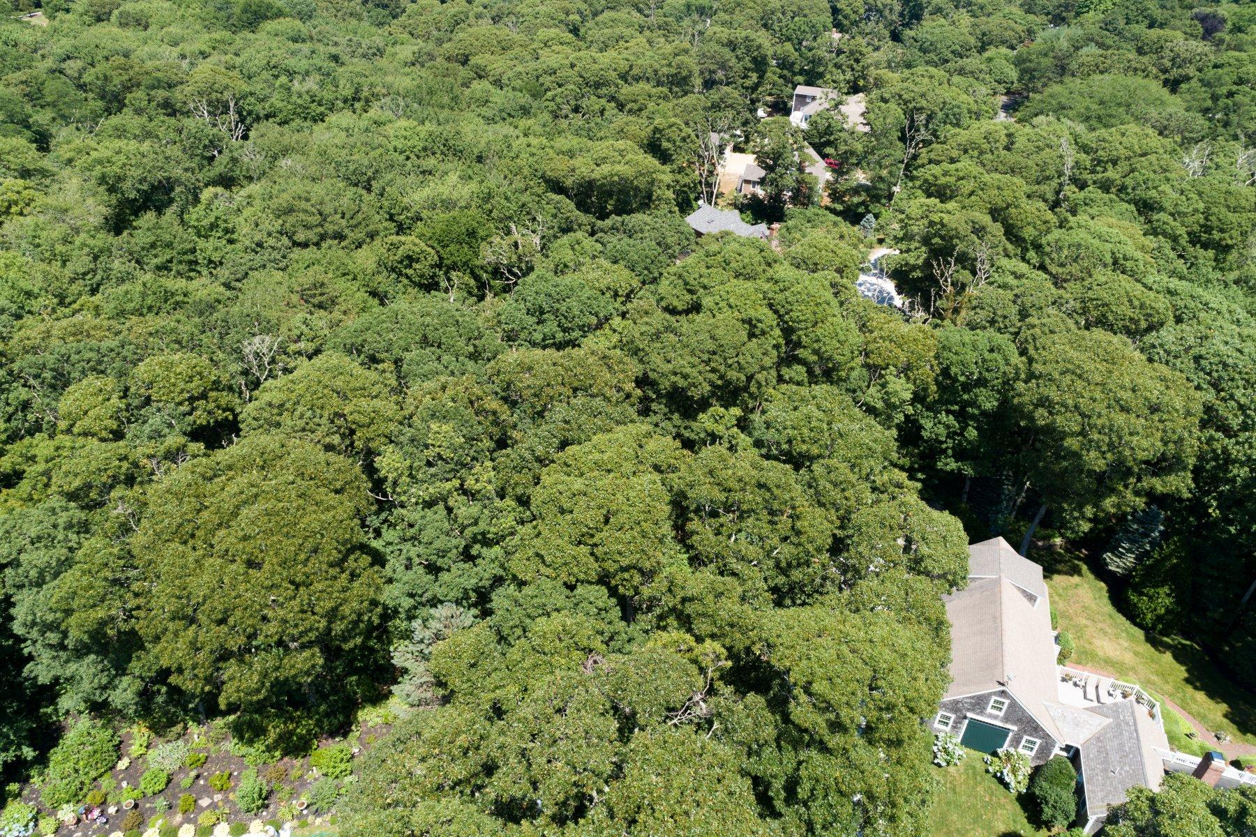 17 Sky Meadow Drive Orleans MA 02653