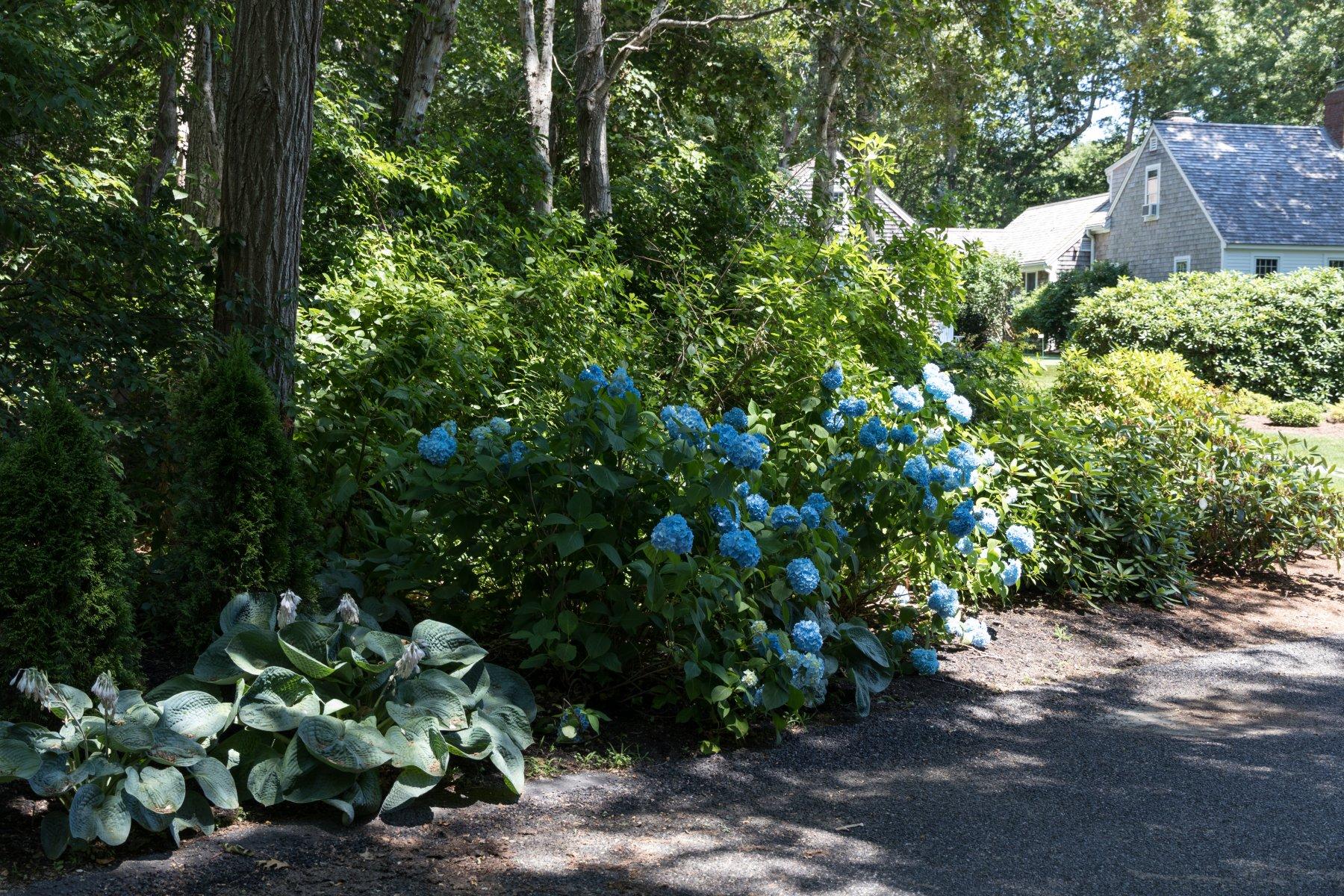 17 Sky Meadow Drive Orleans MA 02653