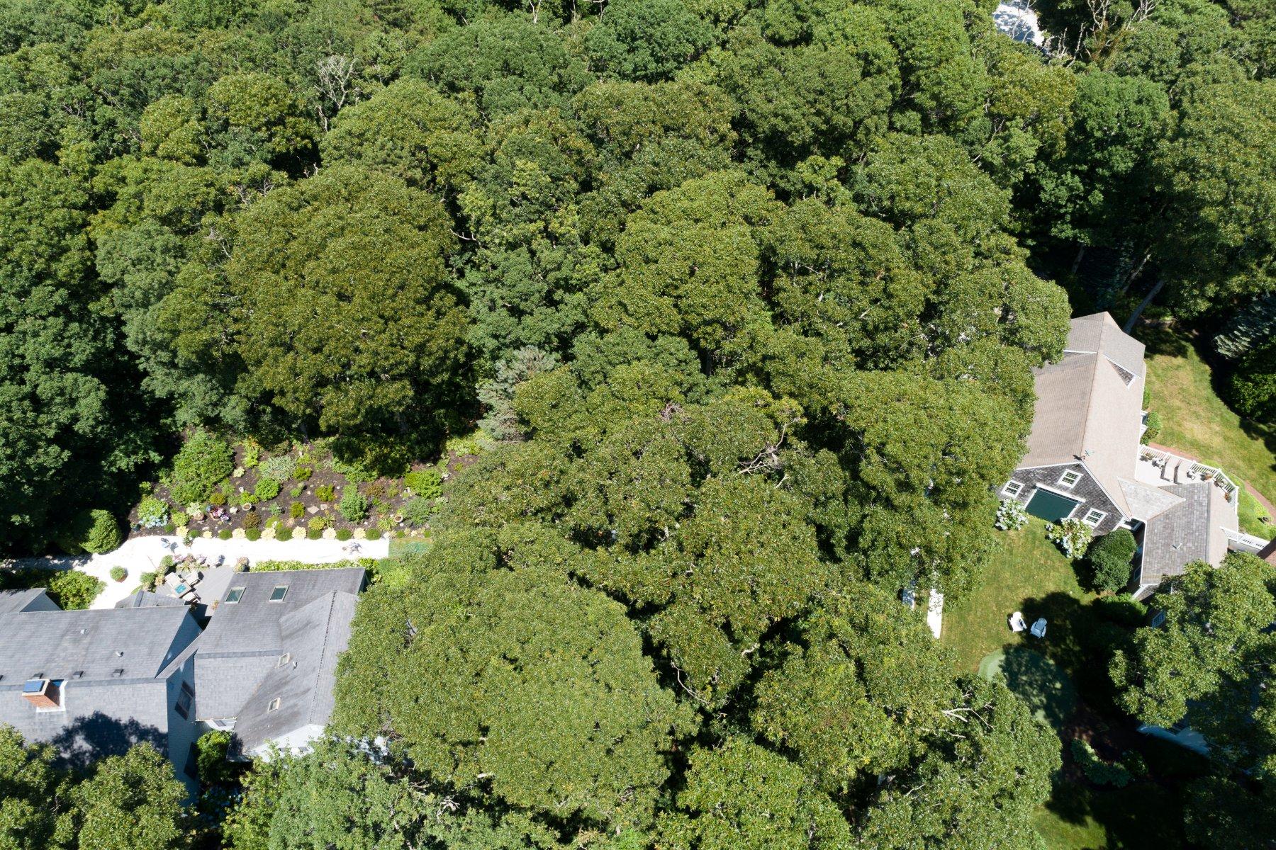 17 Sky Meadow Drive Orleans MA 02653