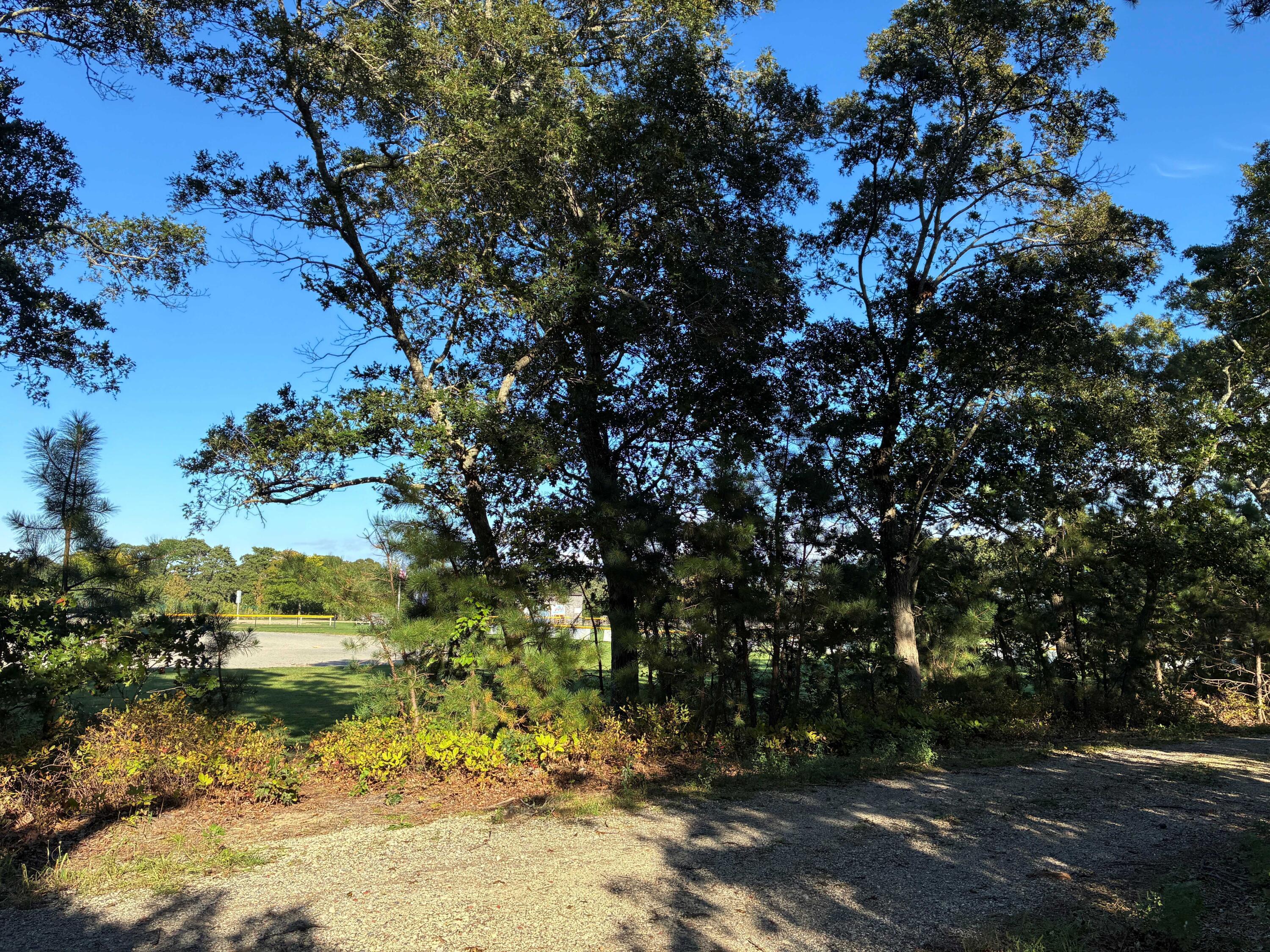 0 Forest Avenue Oak Bluffs MA 02557