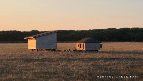Edgartown MA 02539