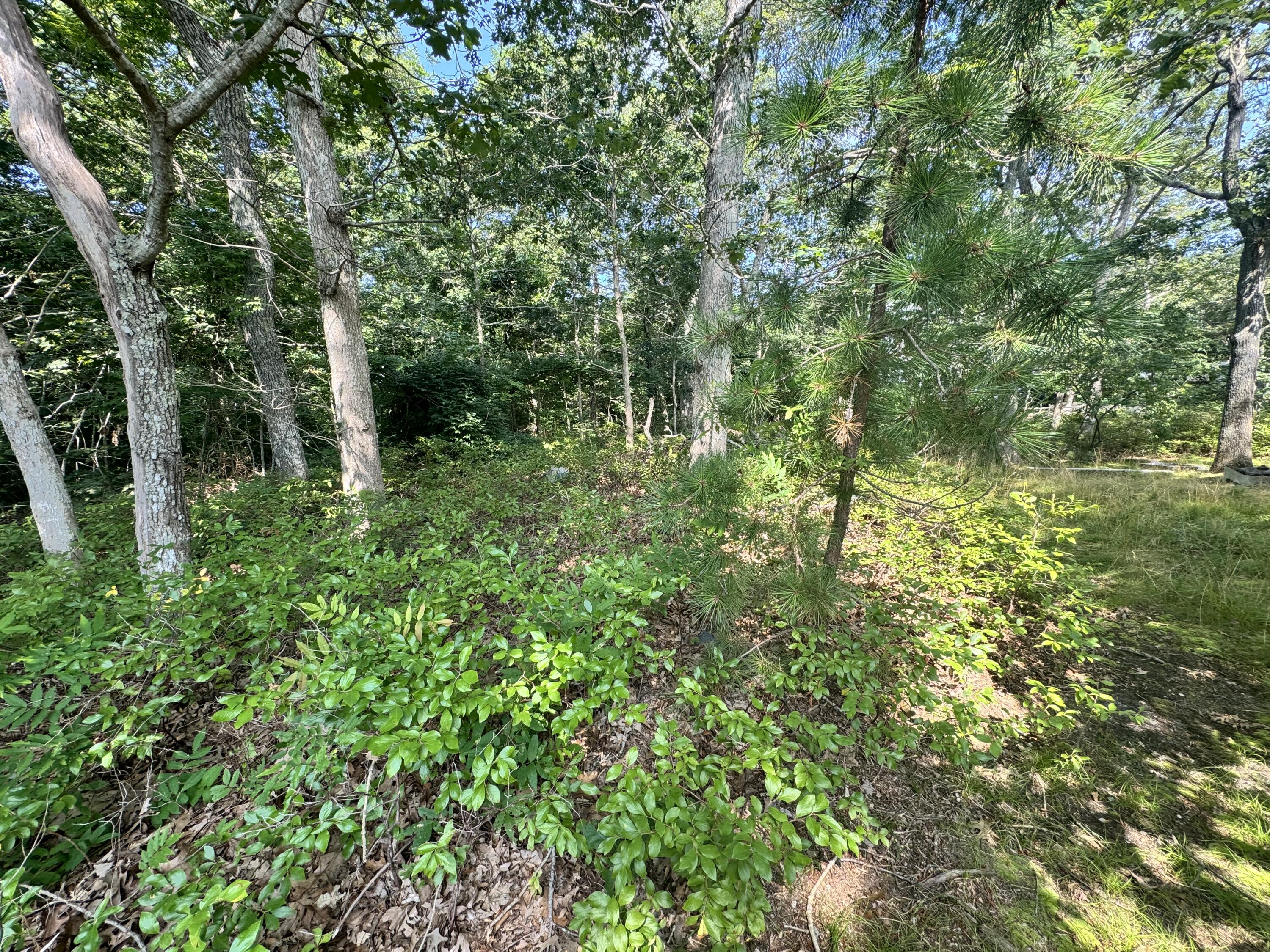 7 Highland Avenue, Vineyard Haven MA photo 4