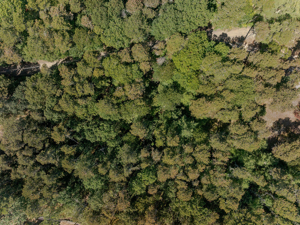 40 Old Long Pond Road Wellfleet MA 02667