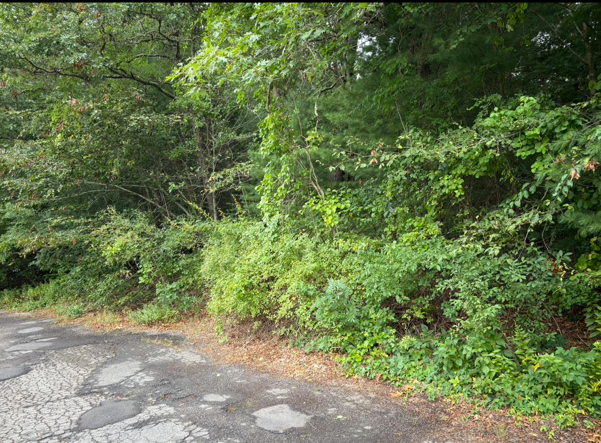 75 Bob-white Run Barnstable MA 02635