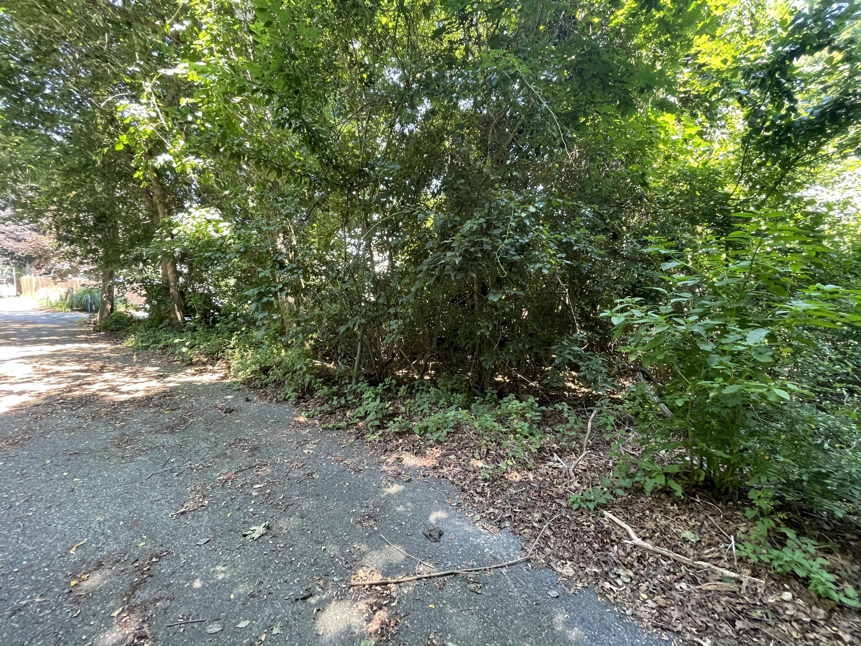 51 Commonwealth Avenue Bourne MA 02561