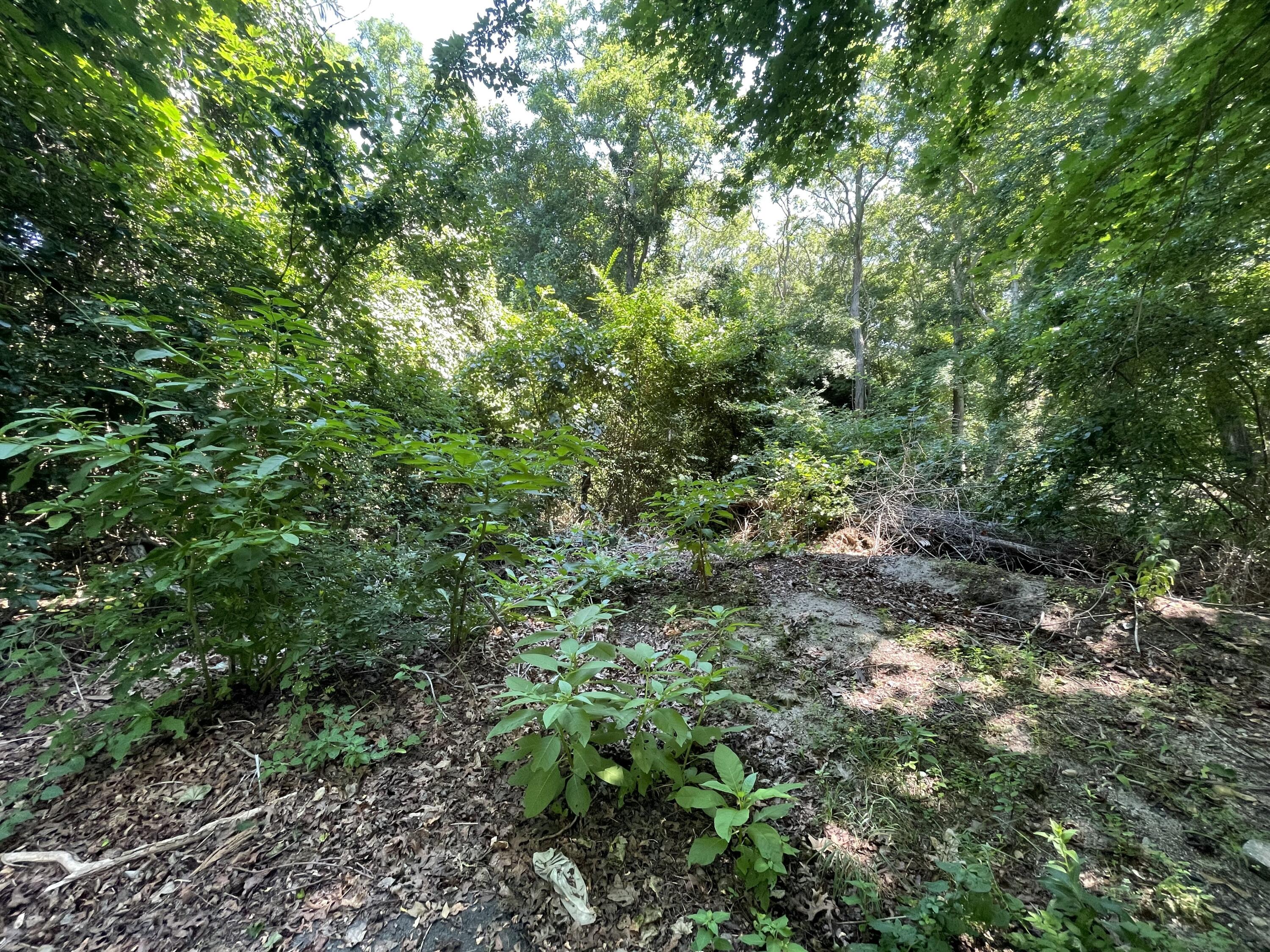 51 Commonwealth Avenue Bourne MA 02561