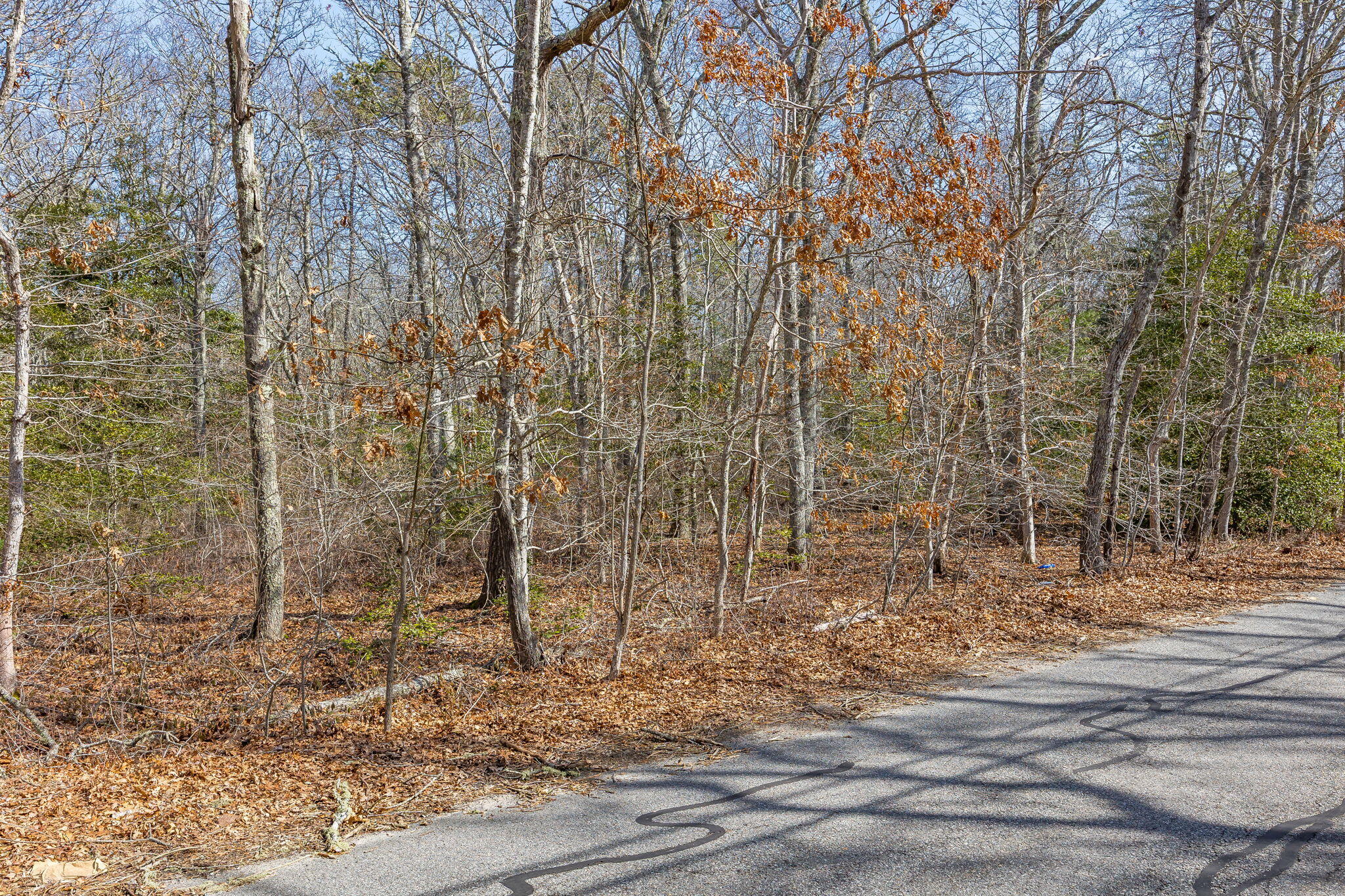 39 John Ewer Road Sandwich MA 02563