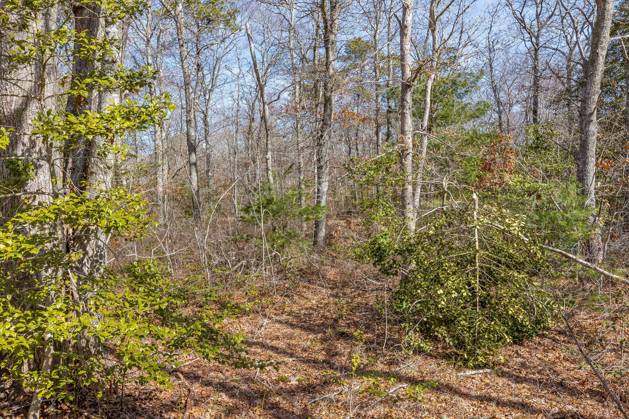 39 John Ewer Road Sandwich MA 02563