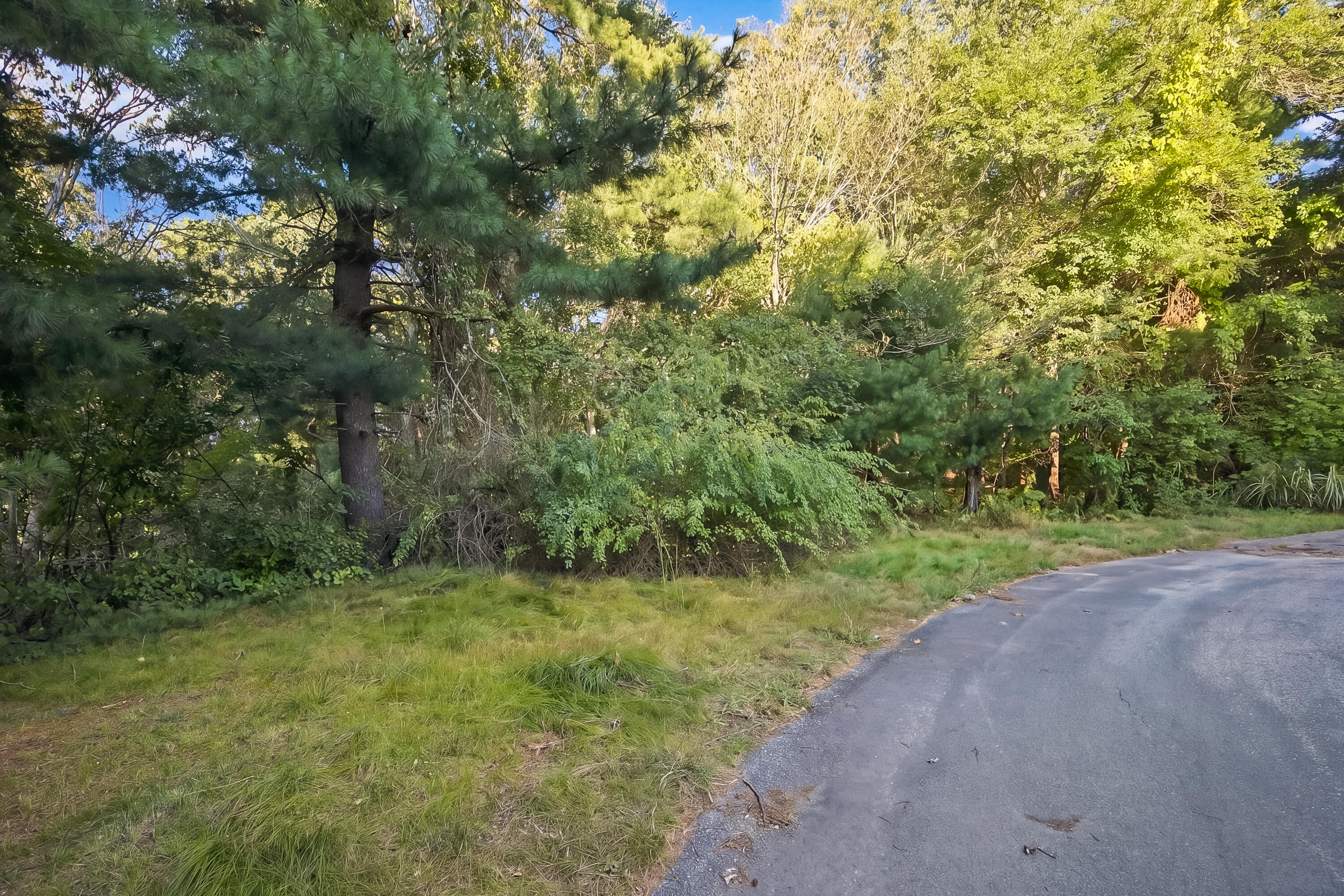 4 Haleys Way Forestdale MA 02644