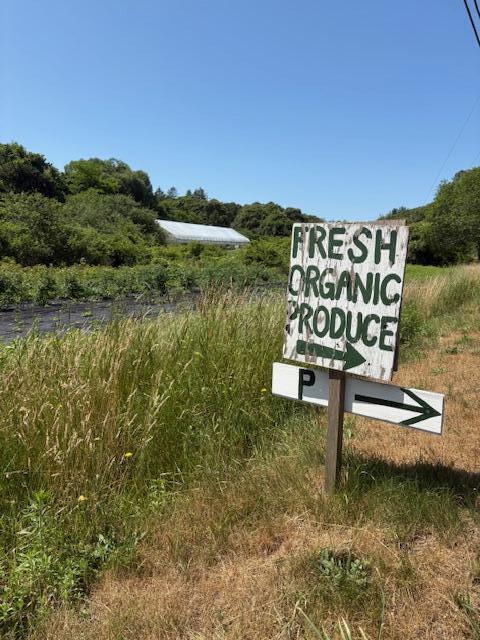 57 Old Kings Highway Truro MA 02666