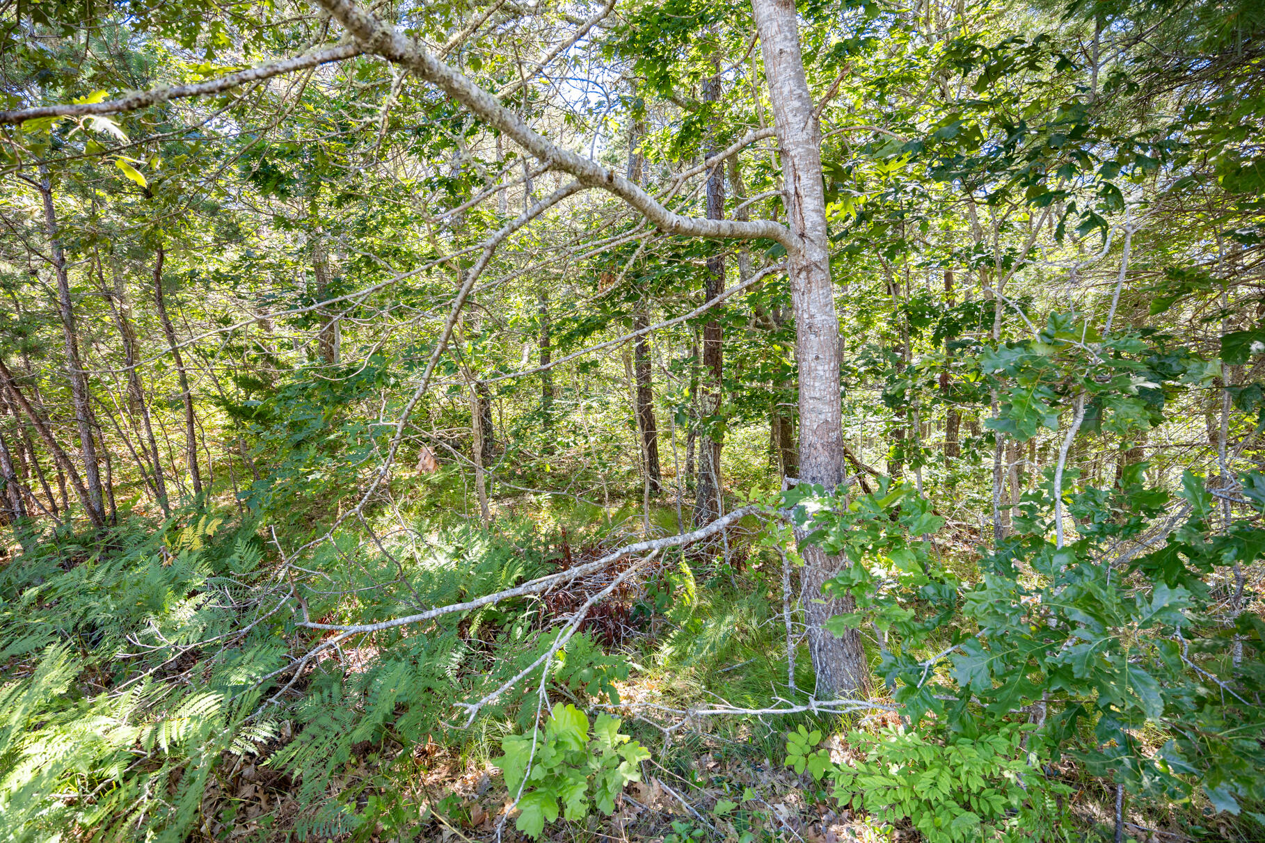 0 Tirrells Way Chatham MA 02633