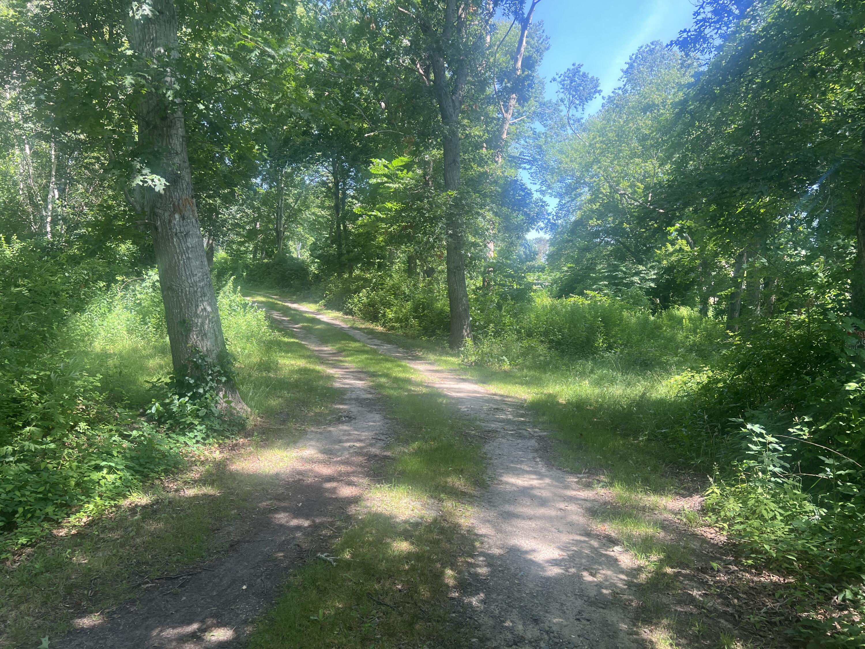 11 Freeman Lane Sagamore MA 02561