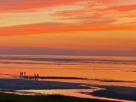 7 Dolphin Way Dennis MA 02638