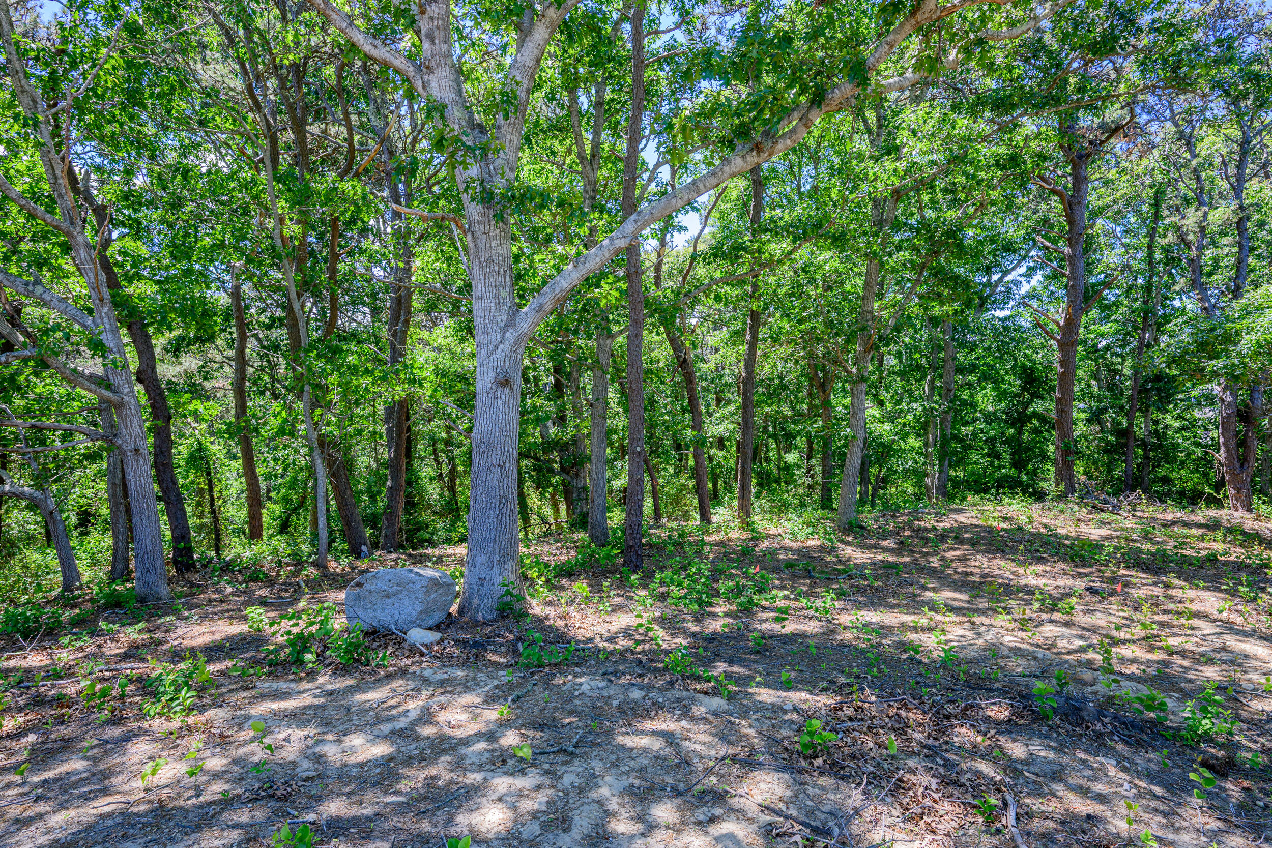 0 Ridgewood Drive Brewster MA 02631