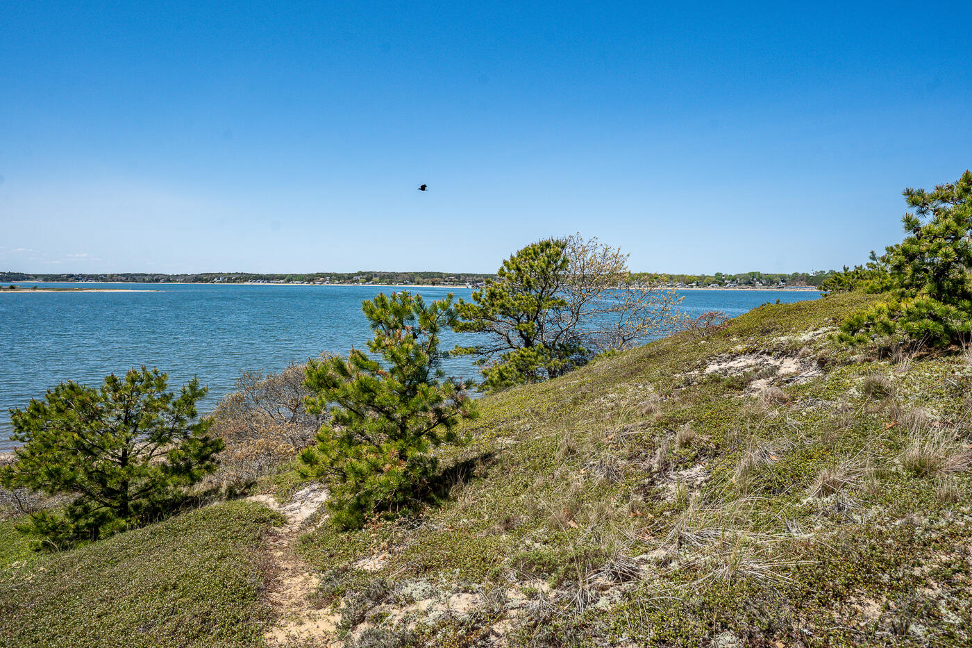 65 Belding Way Wellfleet MA 02667