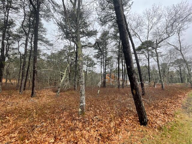 30 Sam Hollow Road Wellfleet MA 02667