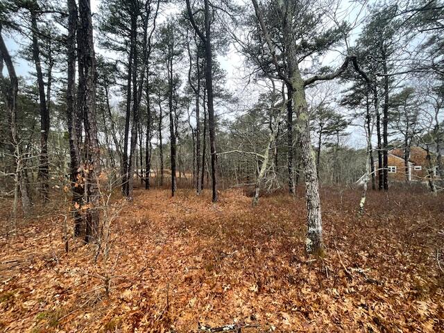 30 Sam Hollow Road Wellfleet MA 02667