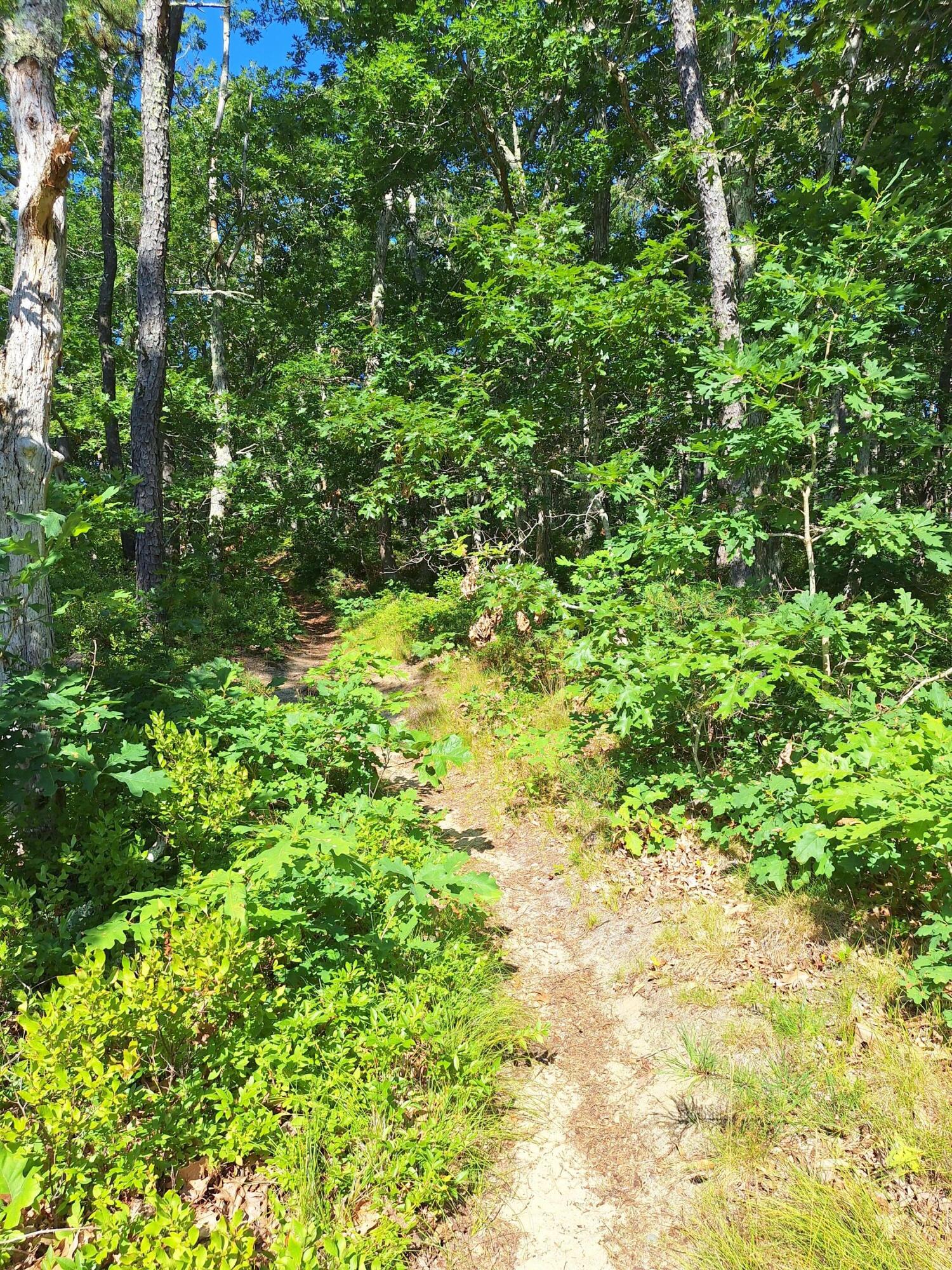 49 Oak Valley Road Wellfleet MA 02667