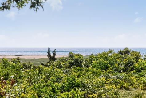 10 Cartway Eastham MA 02642