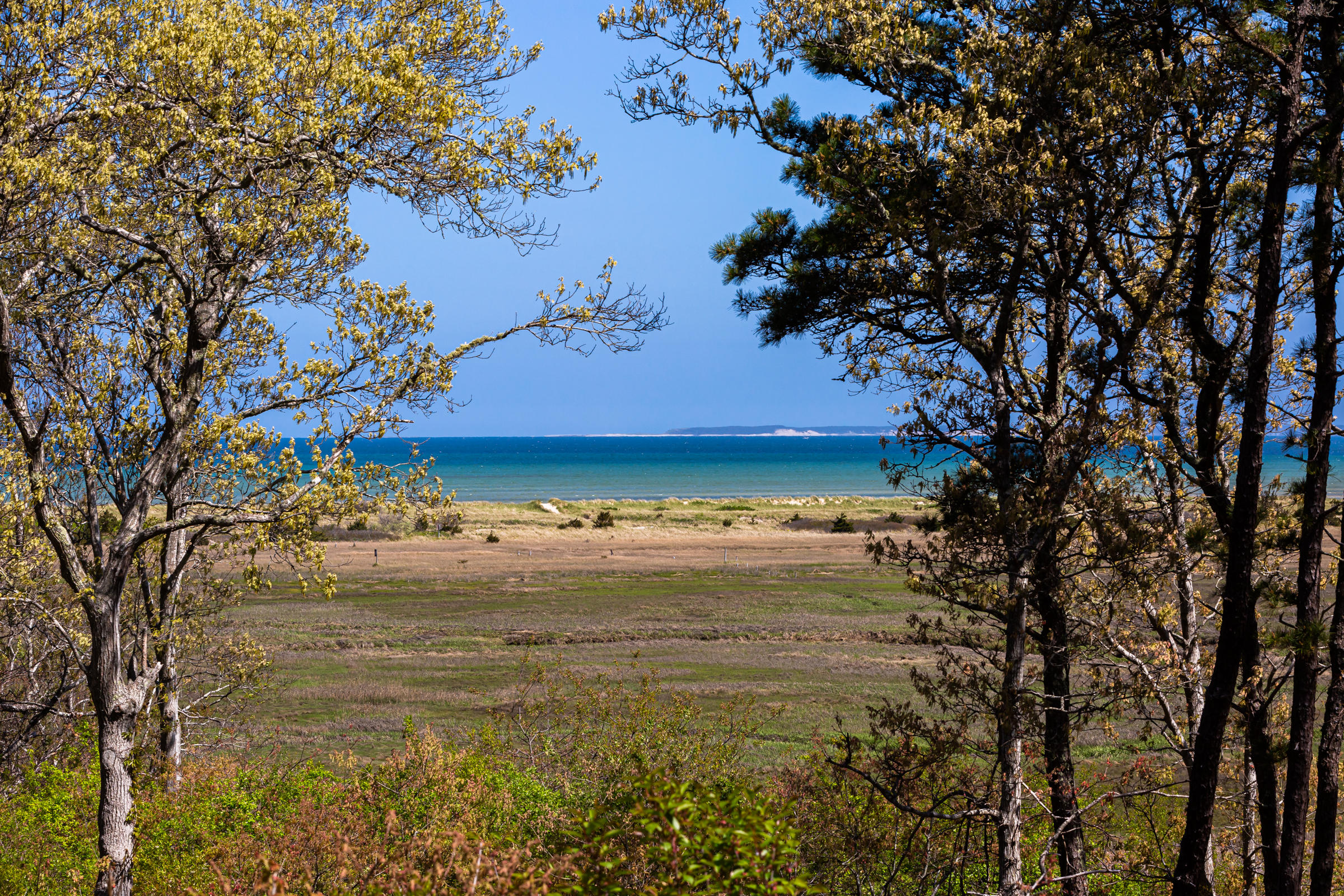197 Mitchell Lane Brewster MA 02631