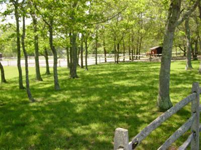 Marstons Mills MA 02648