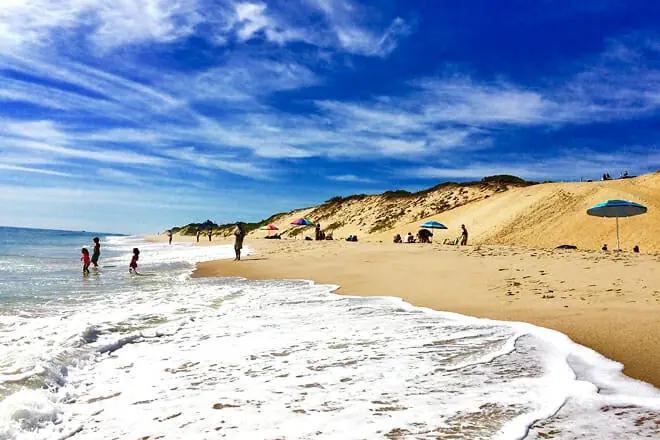 3295 State Highway Eastham MA 02642