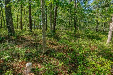 240 Gross Hill Road Wellfleet MA 02667