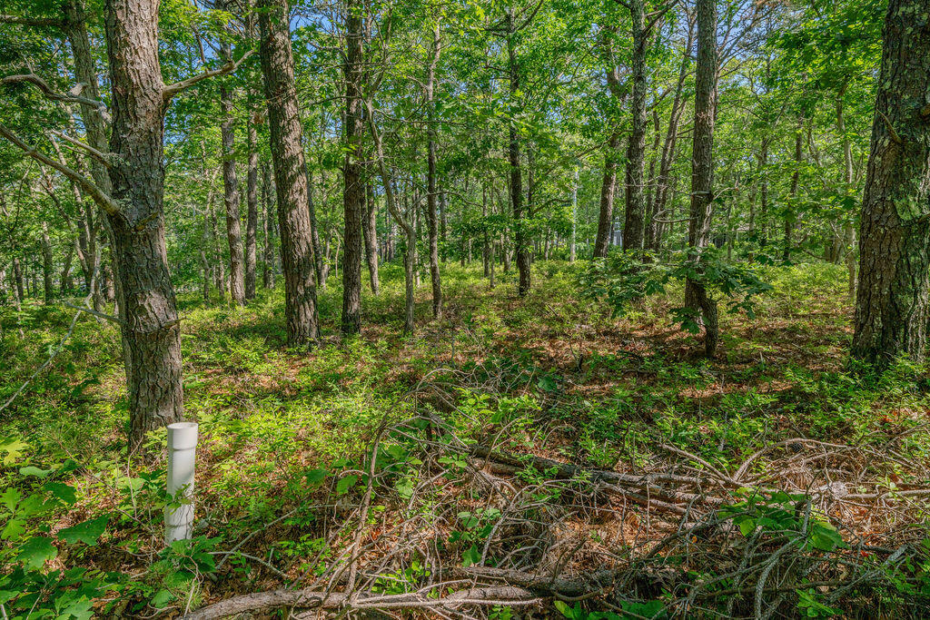 240 Gross Hill Road Wellfleet MA 02667