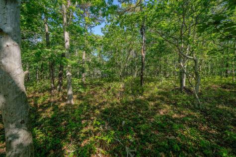 240 Gross Hill Road Wellfleet MA 02667