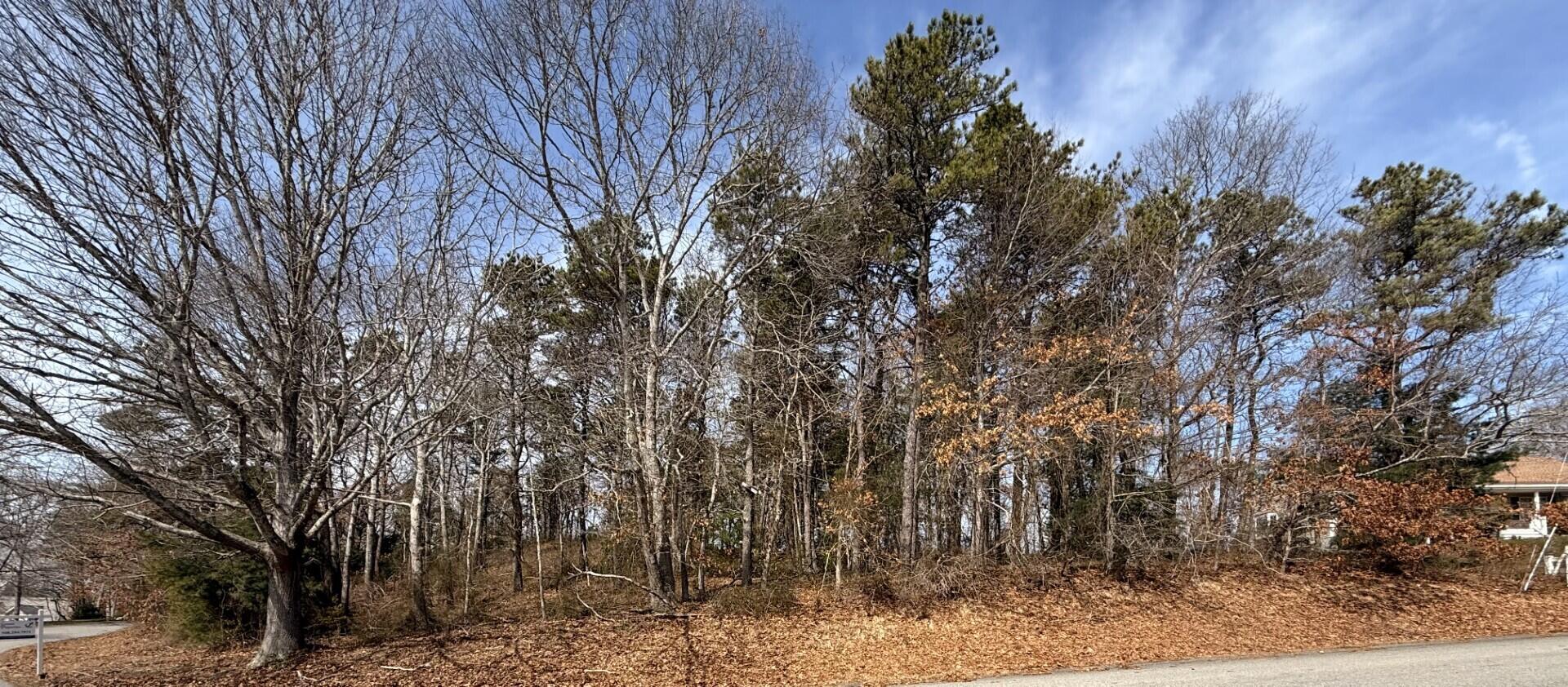 1 Luigi Avenue Bourne MA 02562
