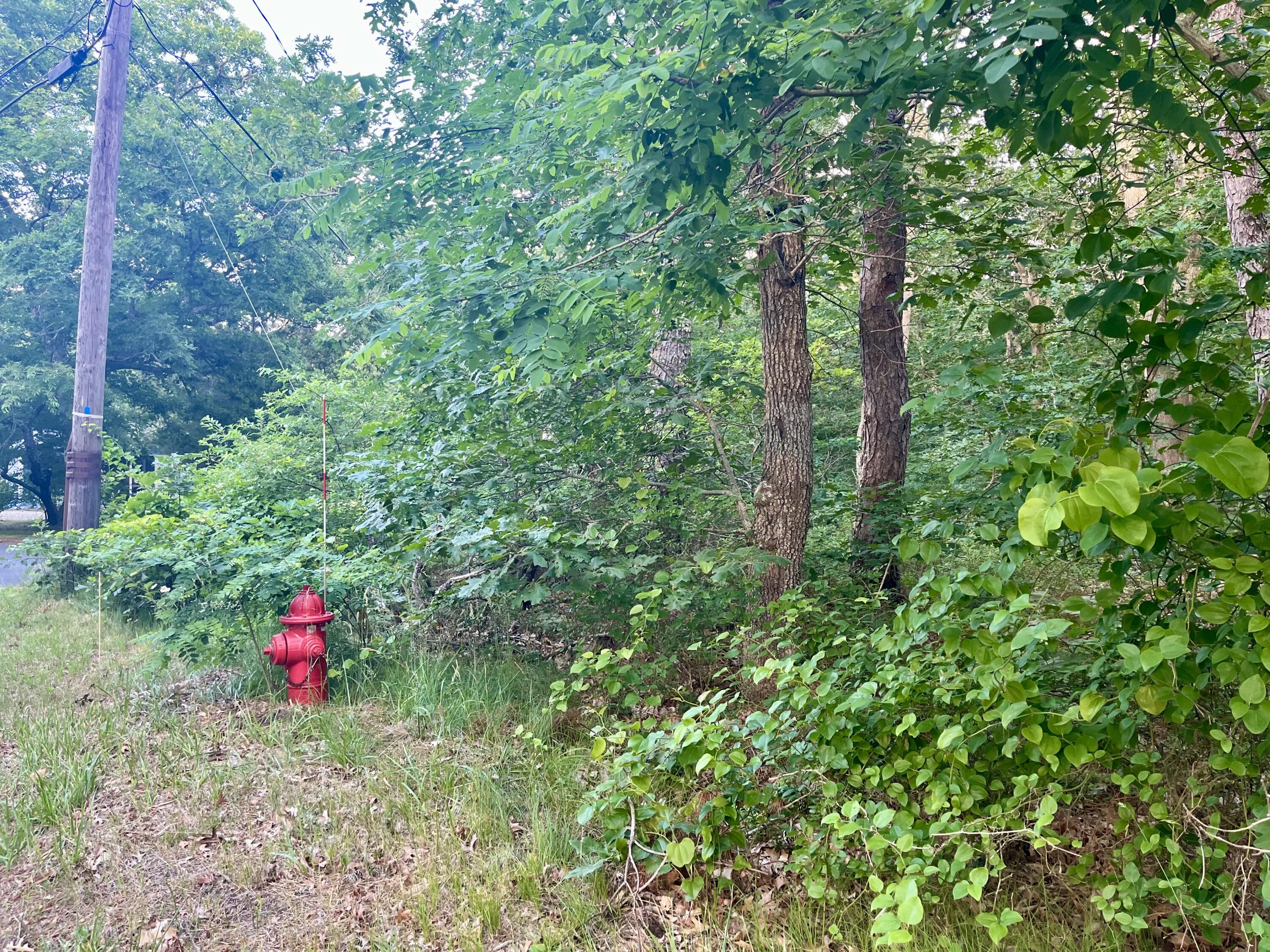 1080 Old Orchard Road Eastham MA 02642