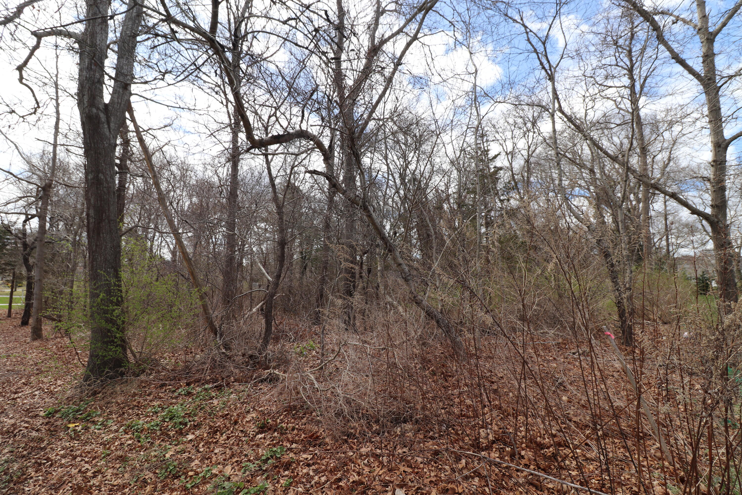 73 Pilgrim Road Dennis MA 02638