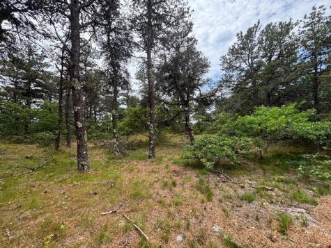 6 Longnook Lane Truro MA 02652