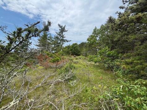 6 Longnook Lane Truro MA 02652